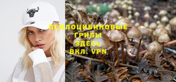герыч Зеленокумск