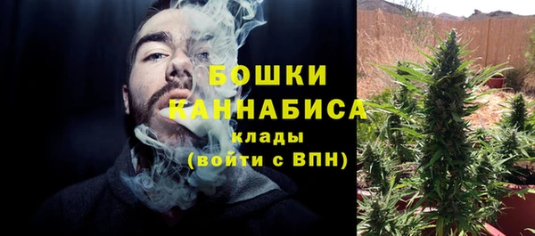 гидра Весьегонск