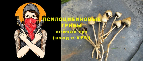 прущие крисы Зеленодольск