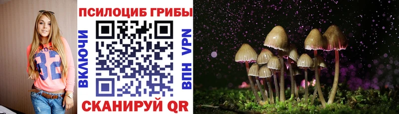 ссылка на мегу зеркало  Каменка  Галлюциногенные грибы GOLDEN TEACHER 