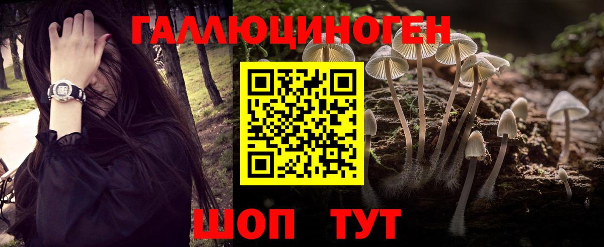 Галлюциногенные грибы GOLDEN TEACHER Каменка